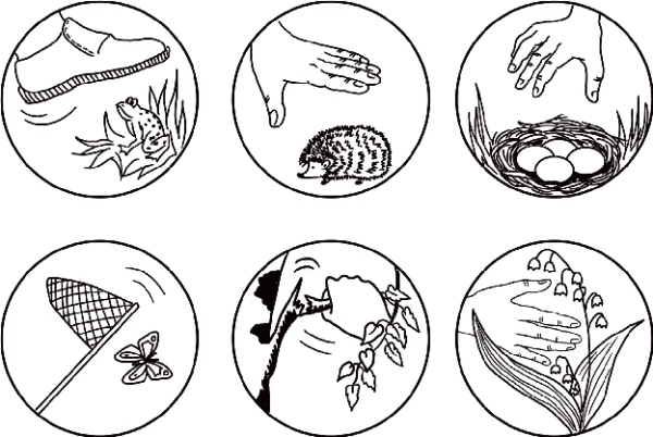 Раскраска охрана природы