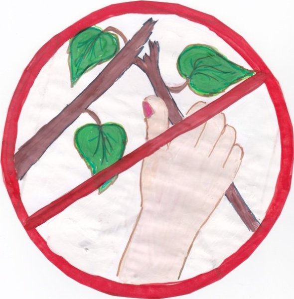 Экологические знаки