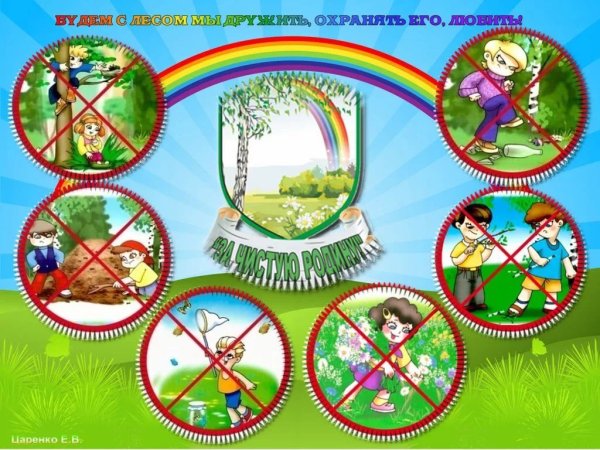 Правила поведения на природе