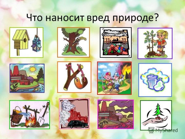 Что хорошо для природы