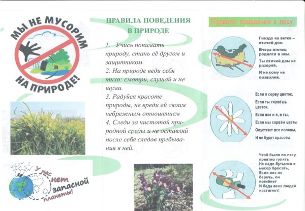 Правила поведения на природе