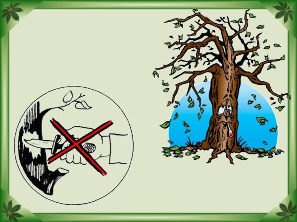 Презентация по охране природы