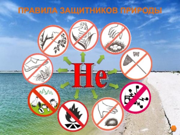 Правила защитников природы