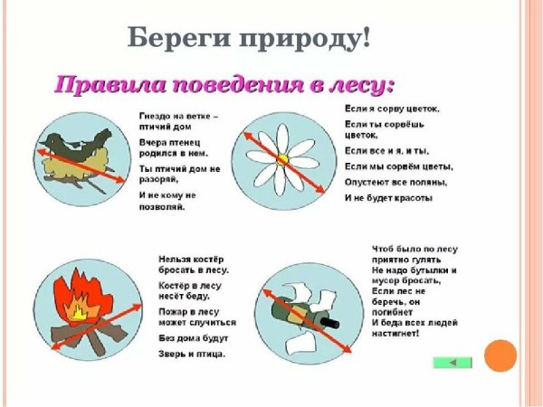 Памятка о правильном поведении в лесу