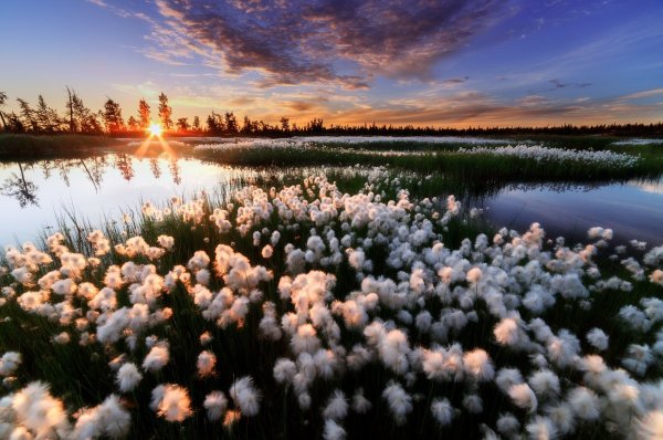 Весна в России