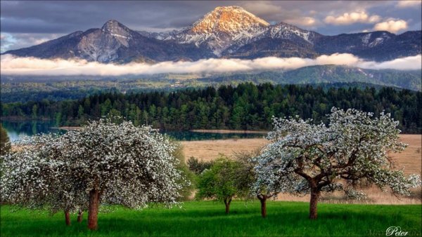 Красота русской природы