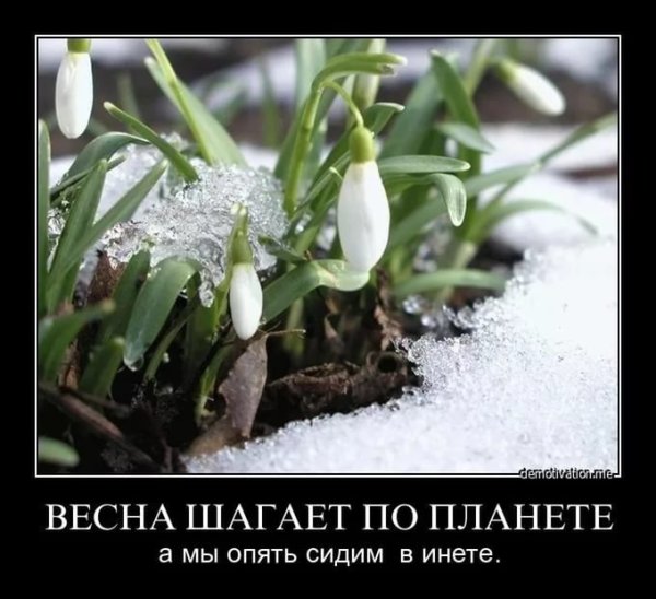 Весна пришла