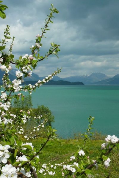 Весенняя природа вертикально