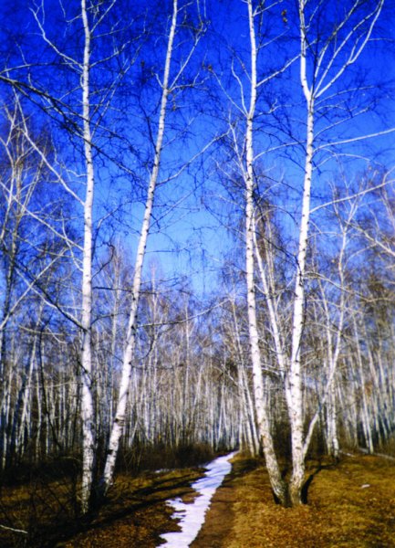 Весна вертикальные