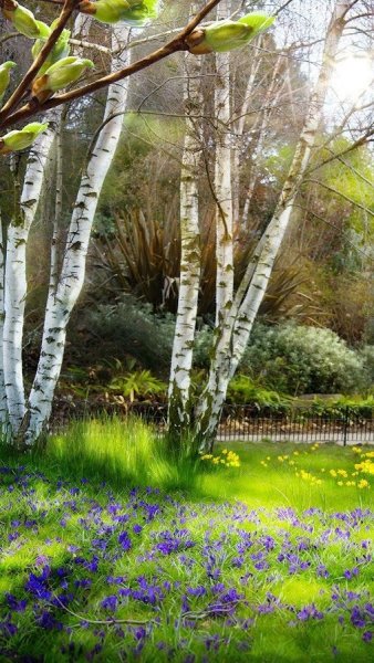 Фотообои Весна