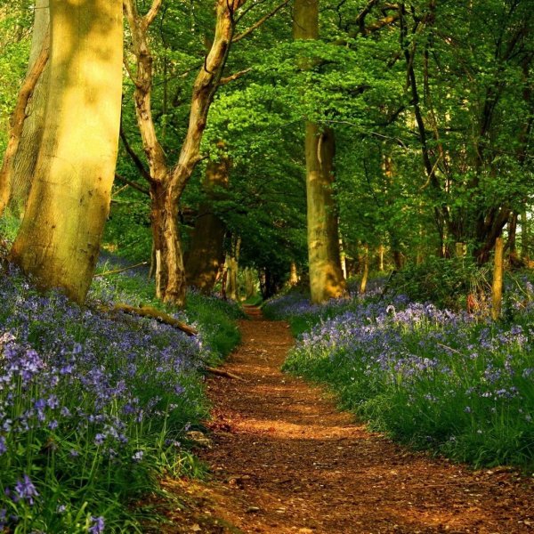 Весна вертикальные