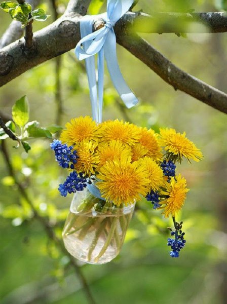 Доброго дня природа