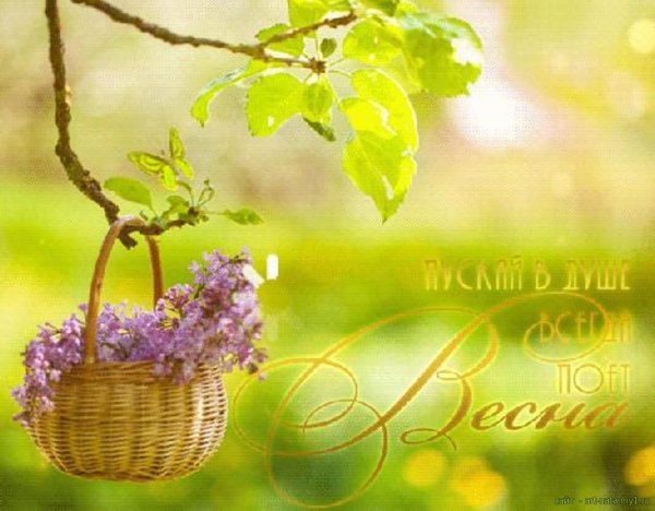 Удачного дня и отличного настроения природа