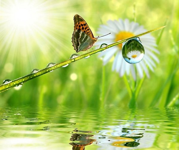 Доброе утро Ландыши