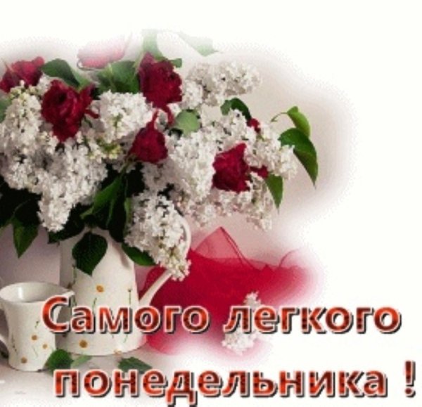 Лёгкого понедельника с добрым