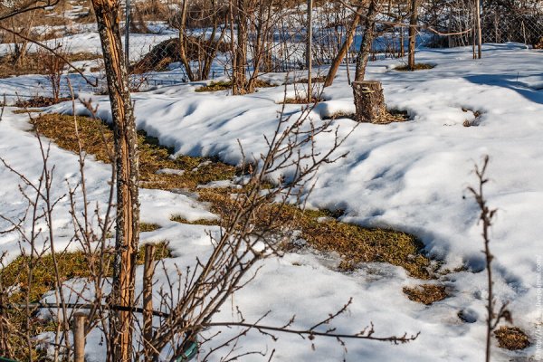 Проталины Калинкина