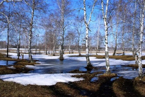 Март проталины