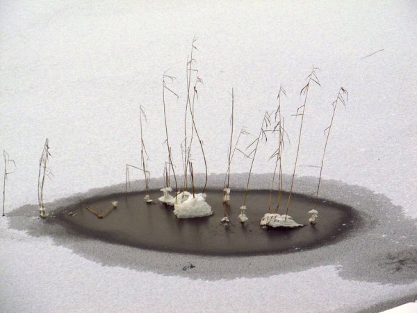 Поделка весенние проталины