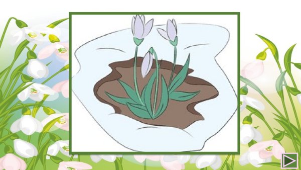 Подснежники рисунок