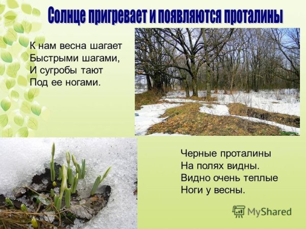 Черные проталины на полях