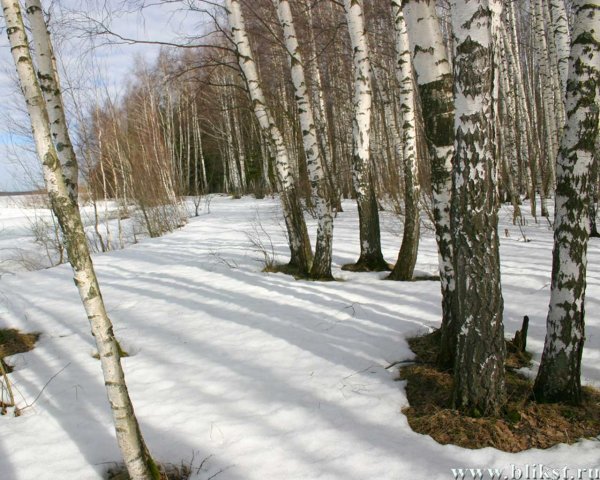 Фон весеннего пейзажа для детей