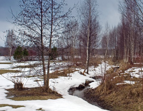 Иллюстрации на тему Весна