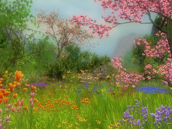 Лето солнце