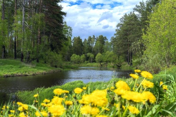 Азорские острова