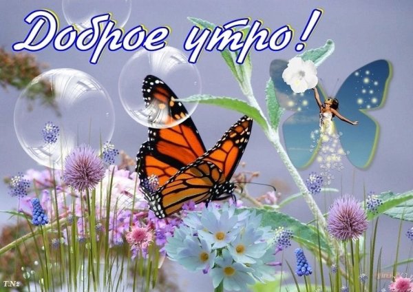 Открытки на каждый день