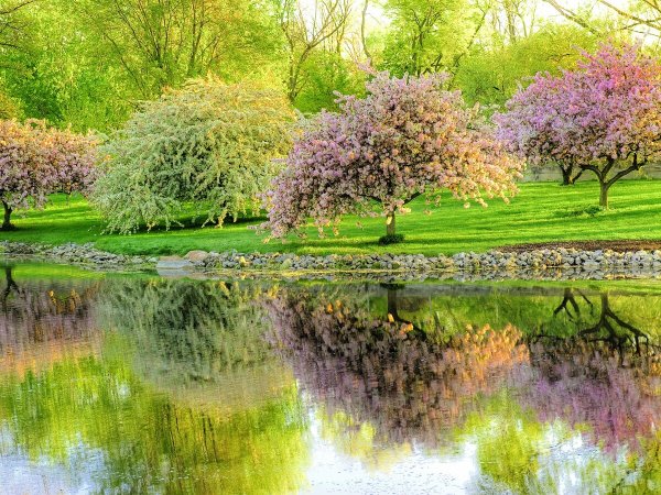 Весенняя природа