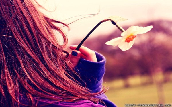 Фото на ватсап красивые девушки без лица