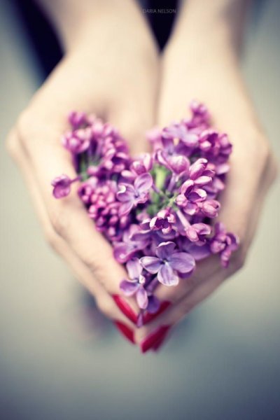 Цветок на руку.