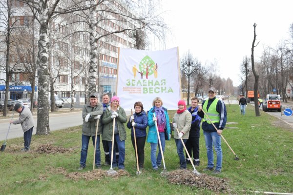 Зеленая Весна