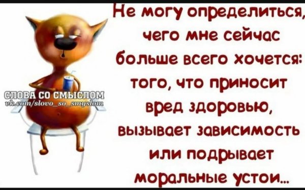 Цитаты с юмором и смыслом