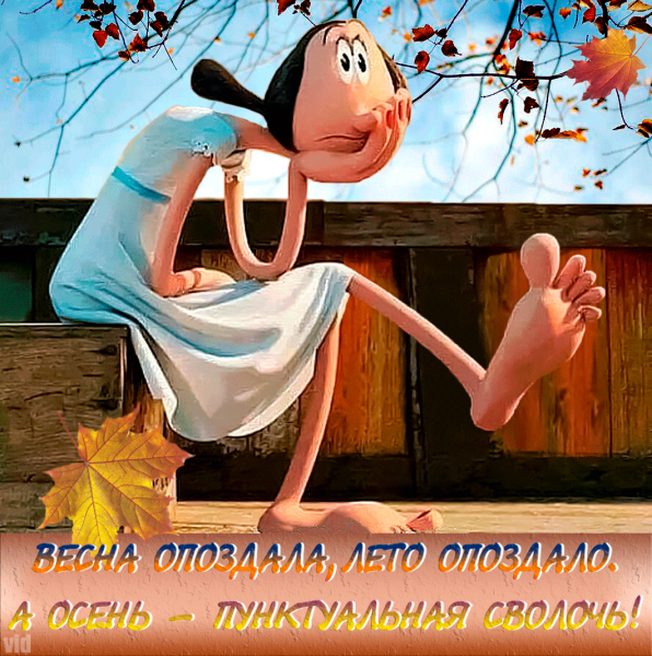 Смешные Мотивирующие фразы