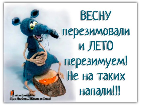 Вот и Весна пришла