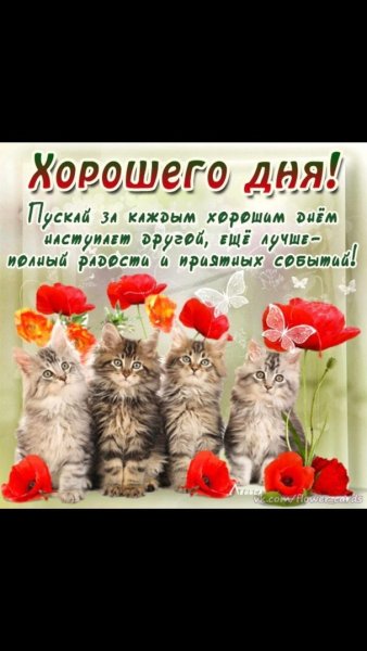 Поздравление с хорошим днем