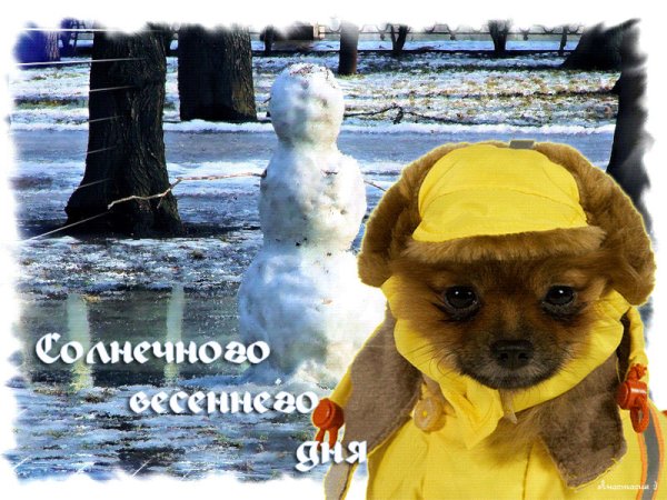 Доброе утро первого дня весны