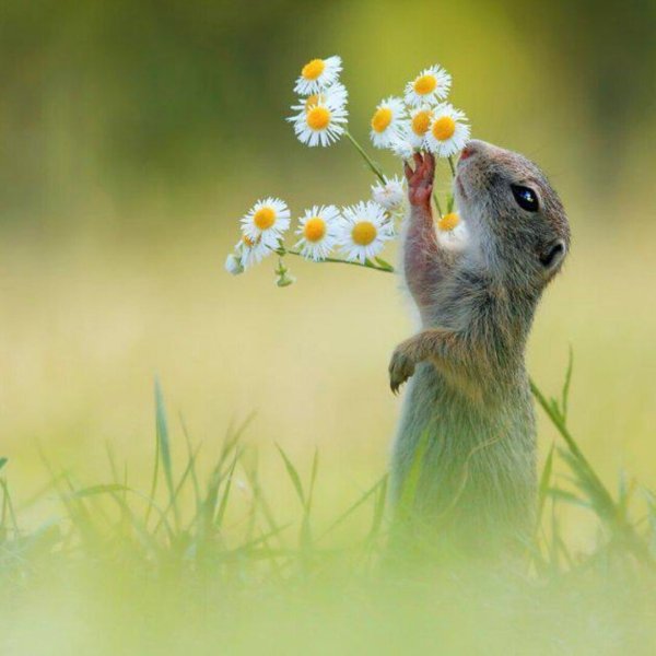 Открытки с весенней субботой