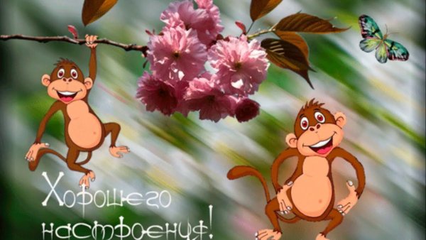 Доброго снежного ве еннего утра