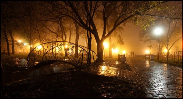 Ночной Таганрог парк