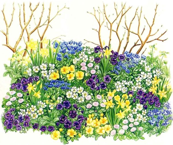 Весенний миксбордер