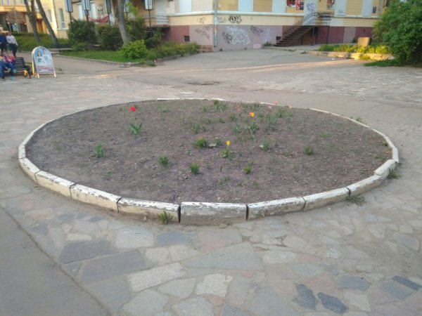 Подготовка клумбы к посадке