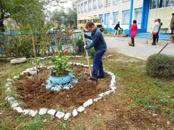 Мультяшные клумбы с цветами