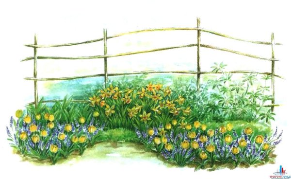 Клумба без цветов