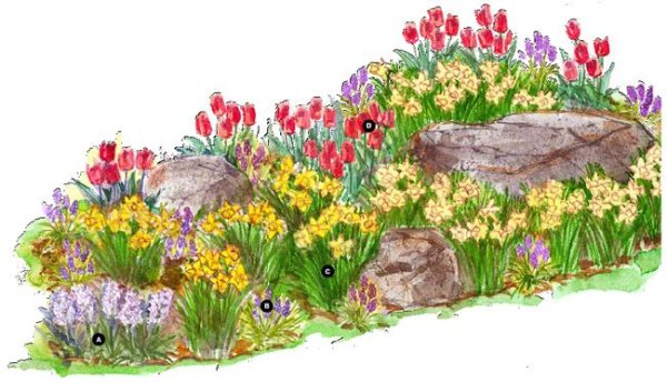 Картина клумба для детей