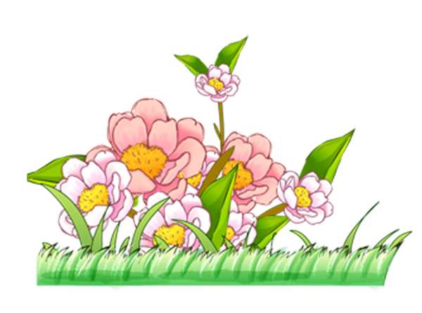 Рабатка непрерывного цветения