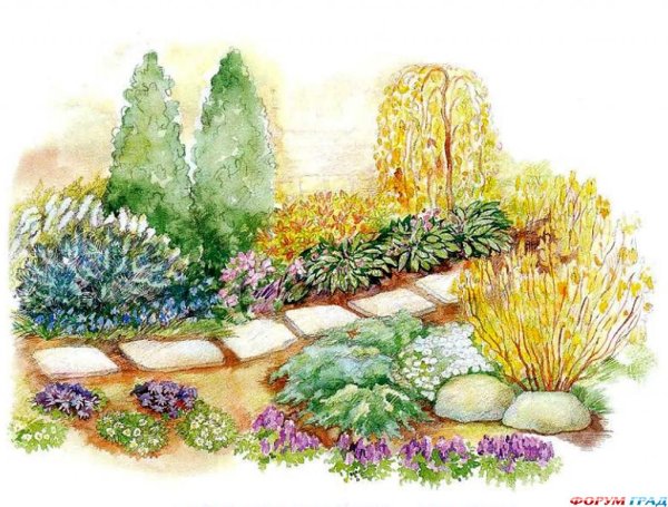 Клумба с цветами рисунок