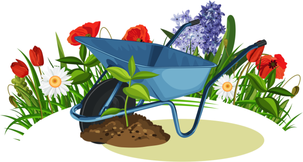 Скетчи миксбордеров