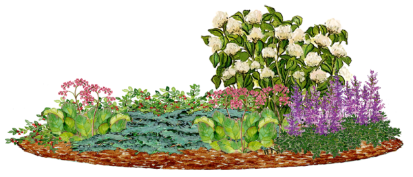 Детские проекты клумбы